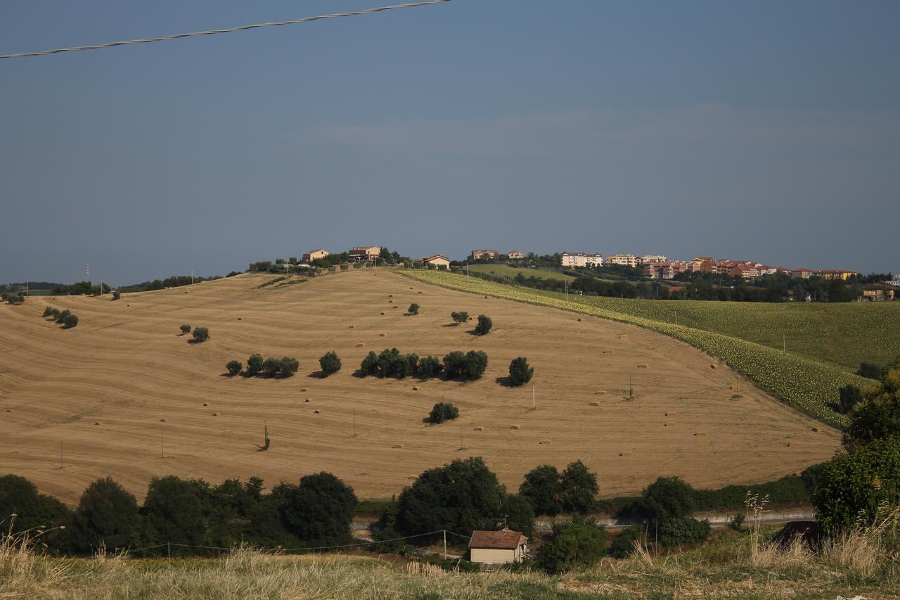 La Viola E Il Sole - Alloggi E Glamping - Fermo Exterior photo